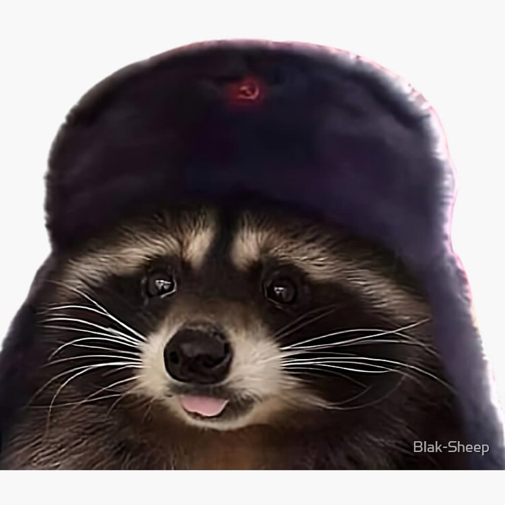 Exotic Raccoons Logo