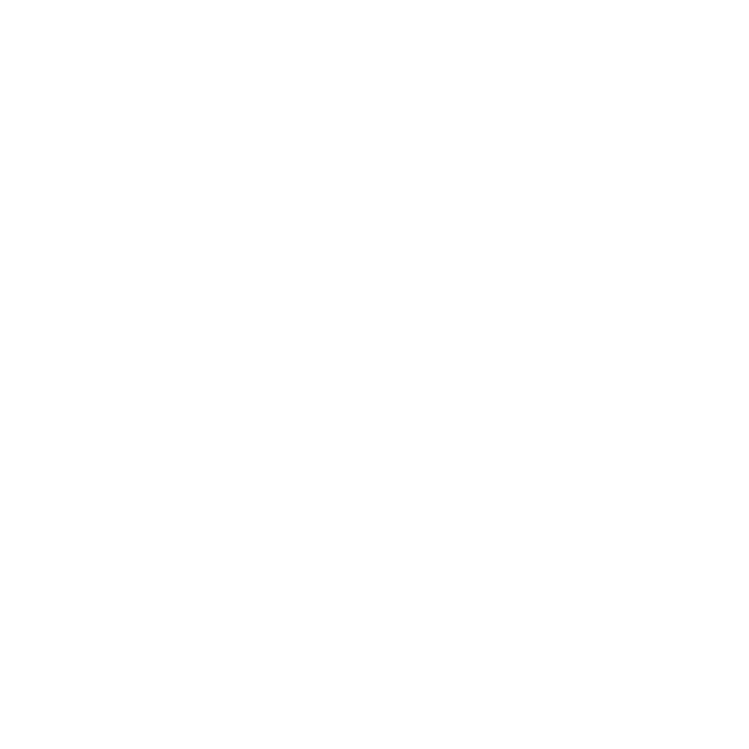 Str1ve Logo